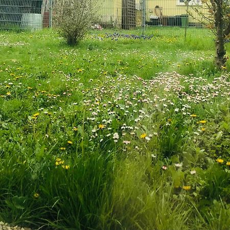 Ferienwohnung Feldmann Freckenfeld エクステリア 写真