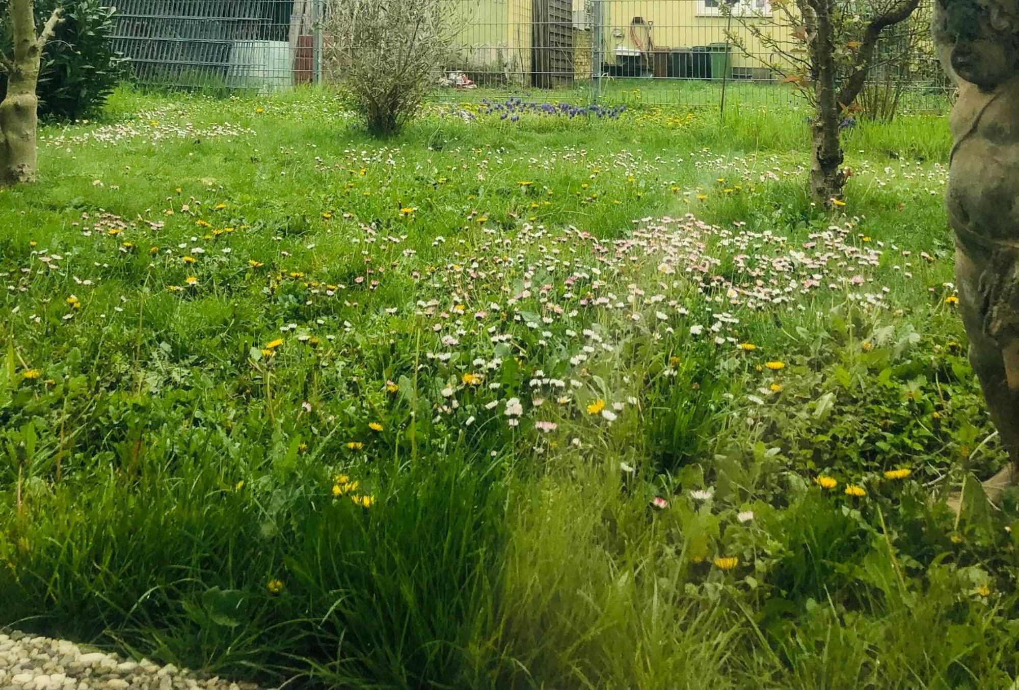 Ferienwohnung Feldmann Freckenfeld エクステリア 写真