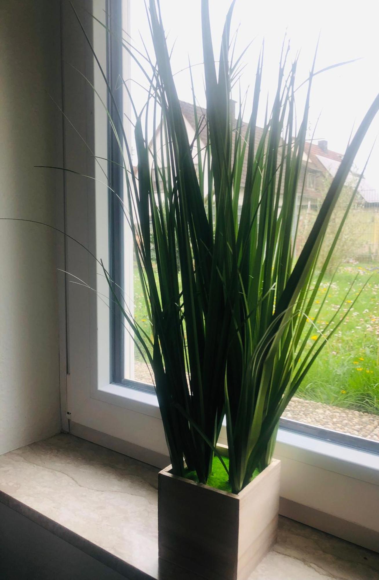 Ferienwohnung Feldmann Freckenfeld エクステリア 写真