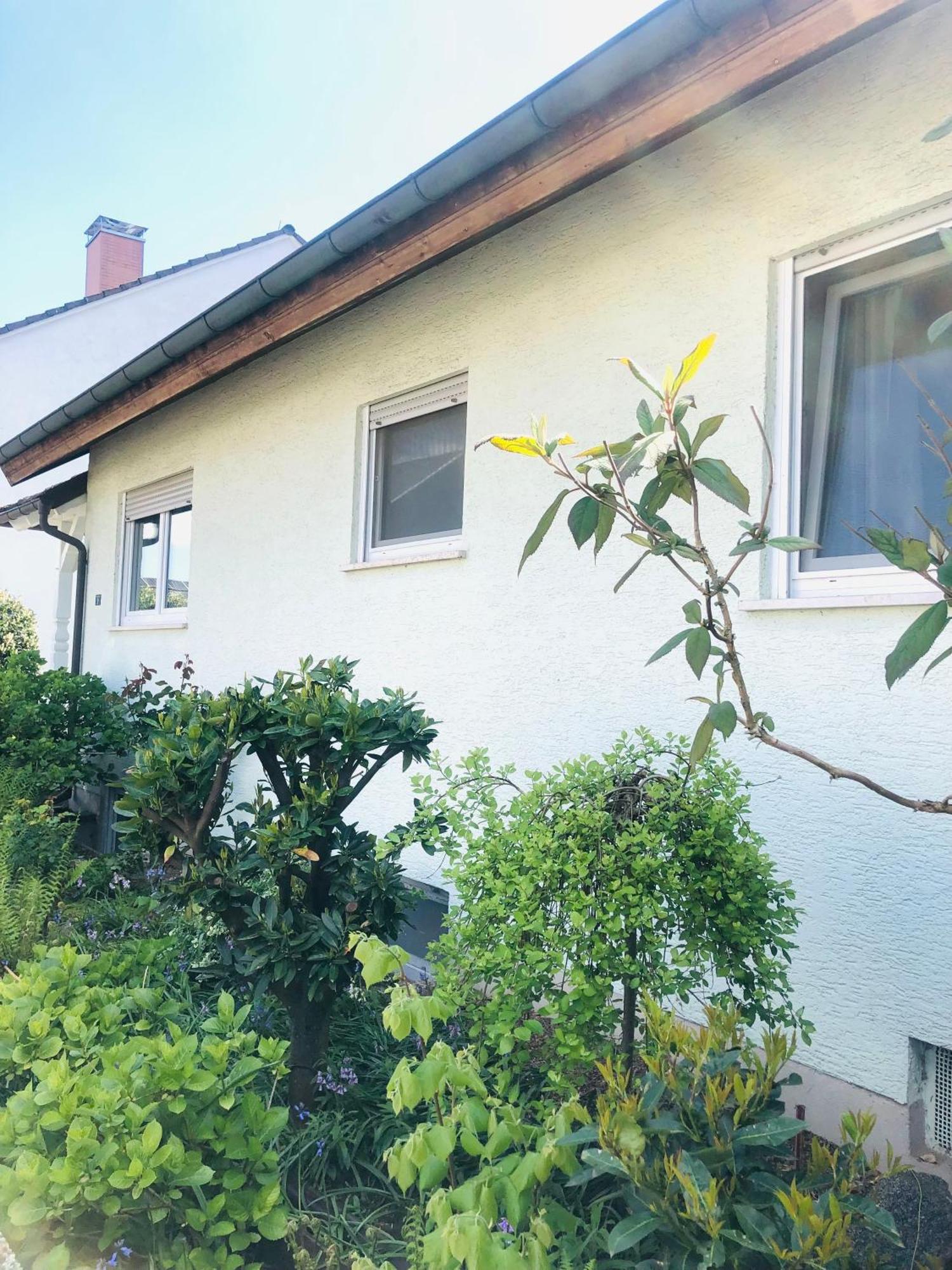 Ferienwohnung Feldmann Freckenfeld エクステリア 写真